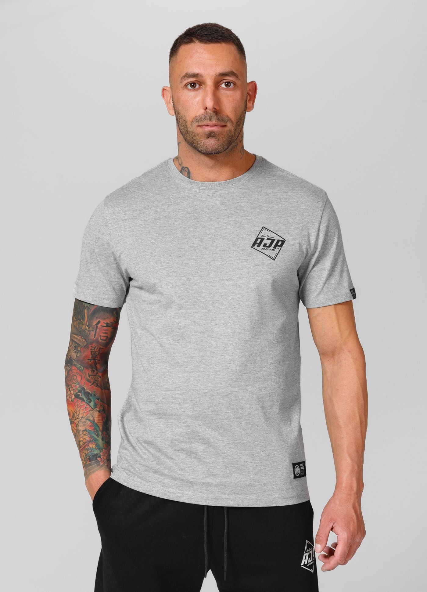 Men's T-Shirt Small Logo AJP - Gray Melange