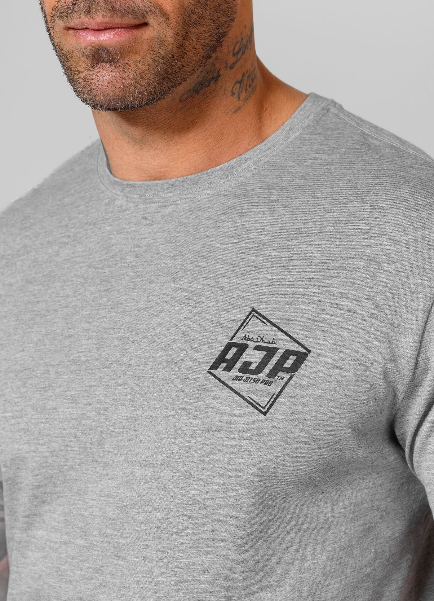 Men's T-Shirt Small Logo AJP - Gray Melange