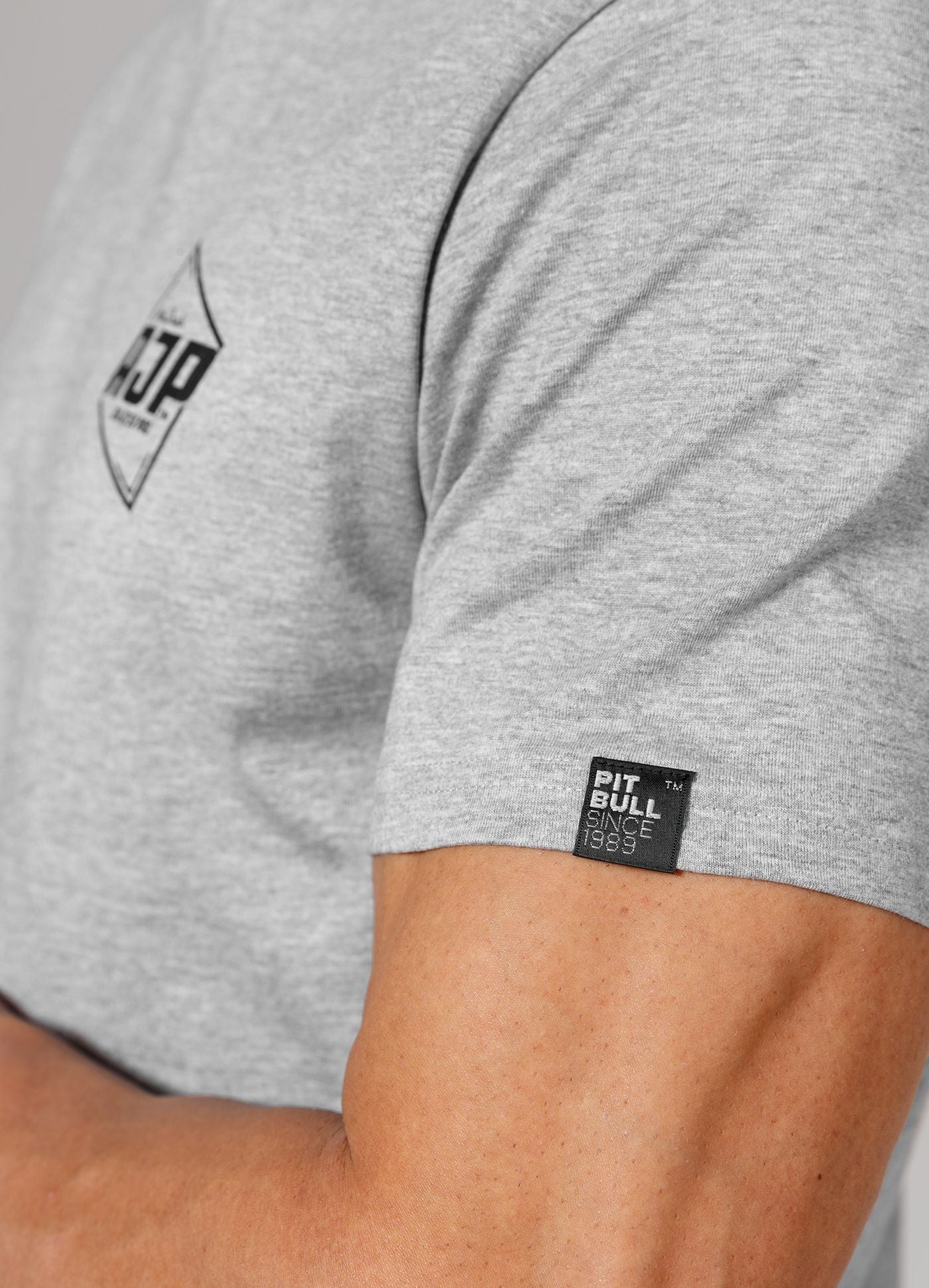 Men's T-Shirt Small Logo AJP - Gray Melange